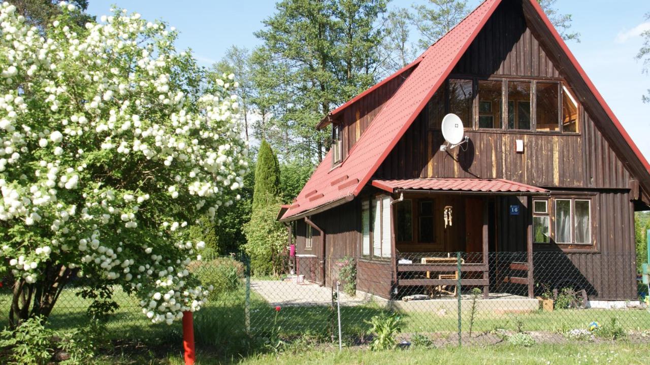 B&B Majdy - Domek nad jeziorem - Bed and Breakfast Majdy