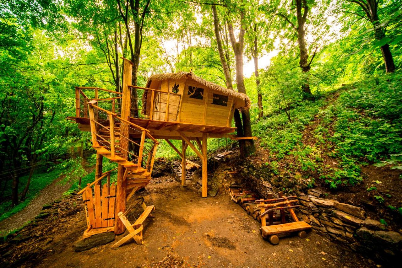 B&B Světlá pod Ještědem - Treehouse pod Jestedem - Bed and Breakfast Světlá pod Ještědem