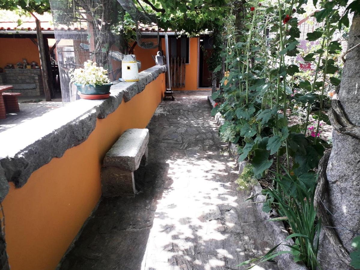 Quinta da Moagem - Bed and Breakfast