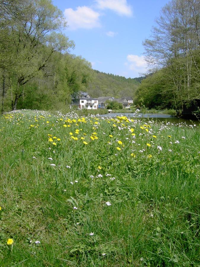 B&B Mörsdorf - Pulgersmühle - Bed and Breakfast Mörsdorf