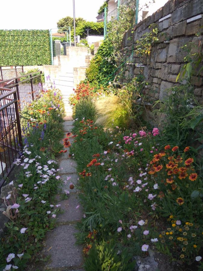 Apartment Alea - Chambres d’hôtes Portorož