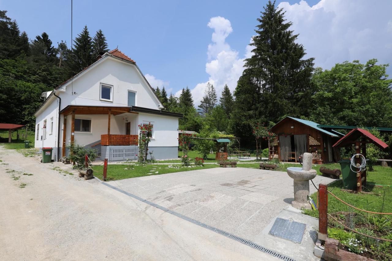 Adventure Cottage with pool and big garden - Bed and Breakfast