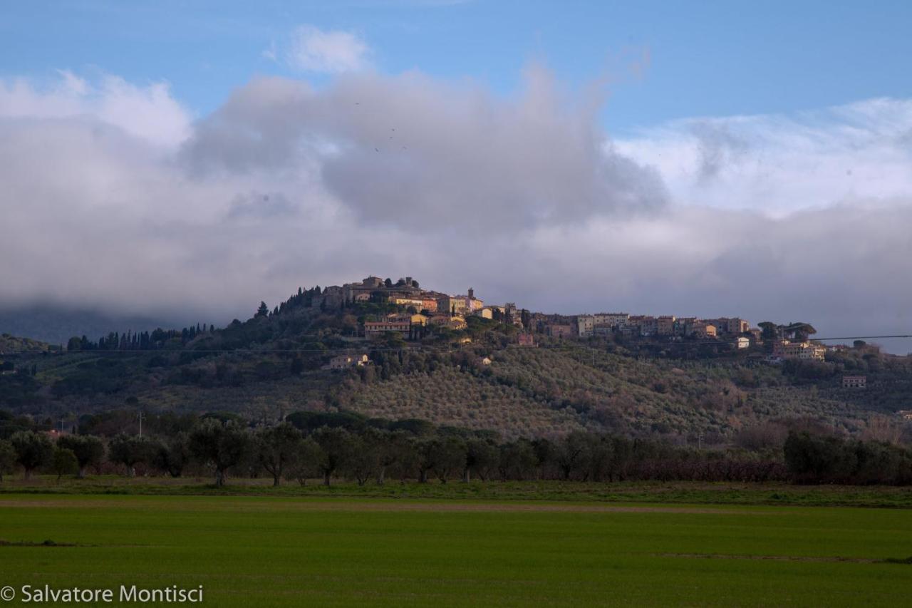 Casetta Singola vicino al Mare - B&B