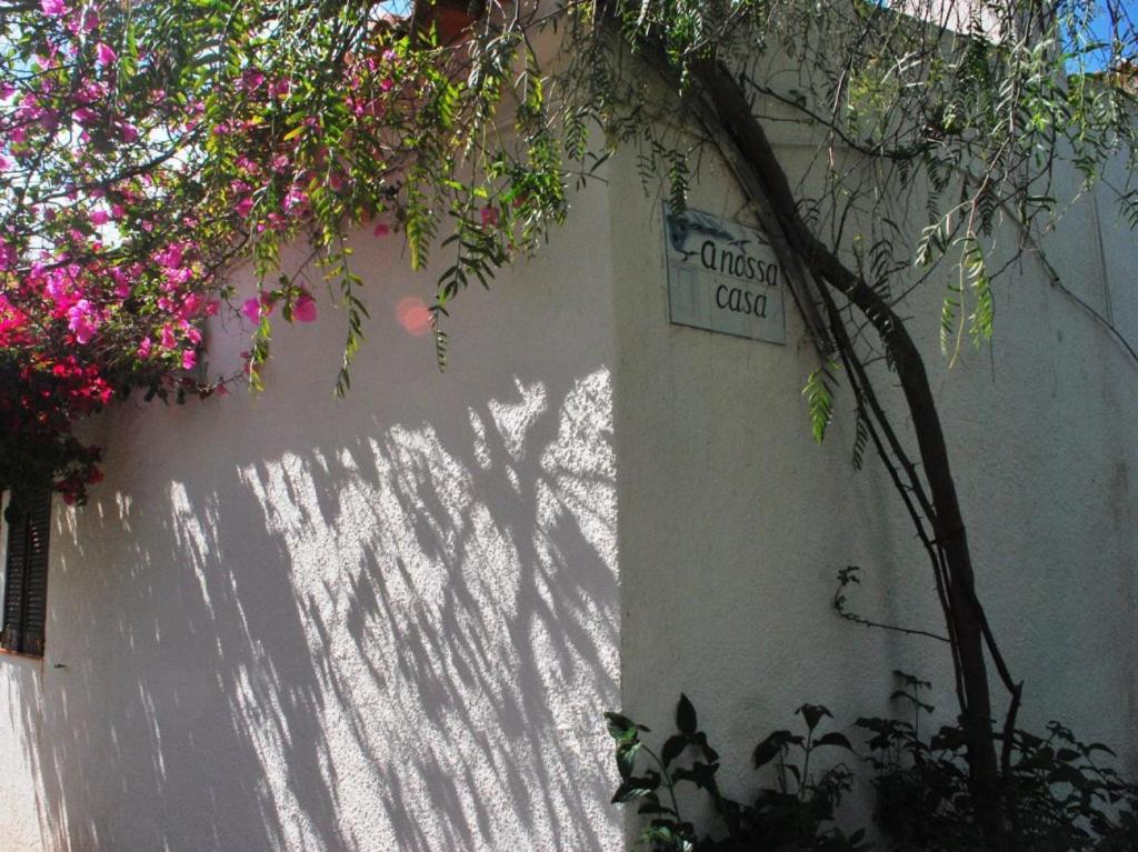 Moradia com piscina em Cabanas - Chambres d'hôtes Cabanas de Tavira
