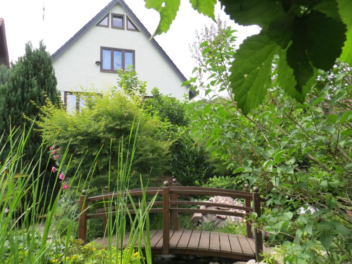 B&B Bad Liebenstein - Ferienwohnung "Waldblick" - Bed and Breakfast Bad Liebenstein