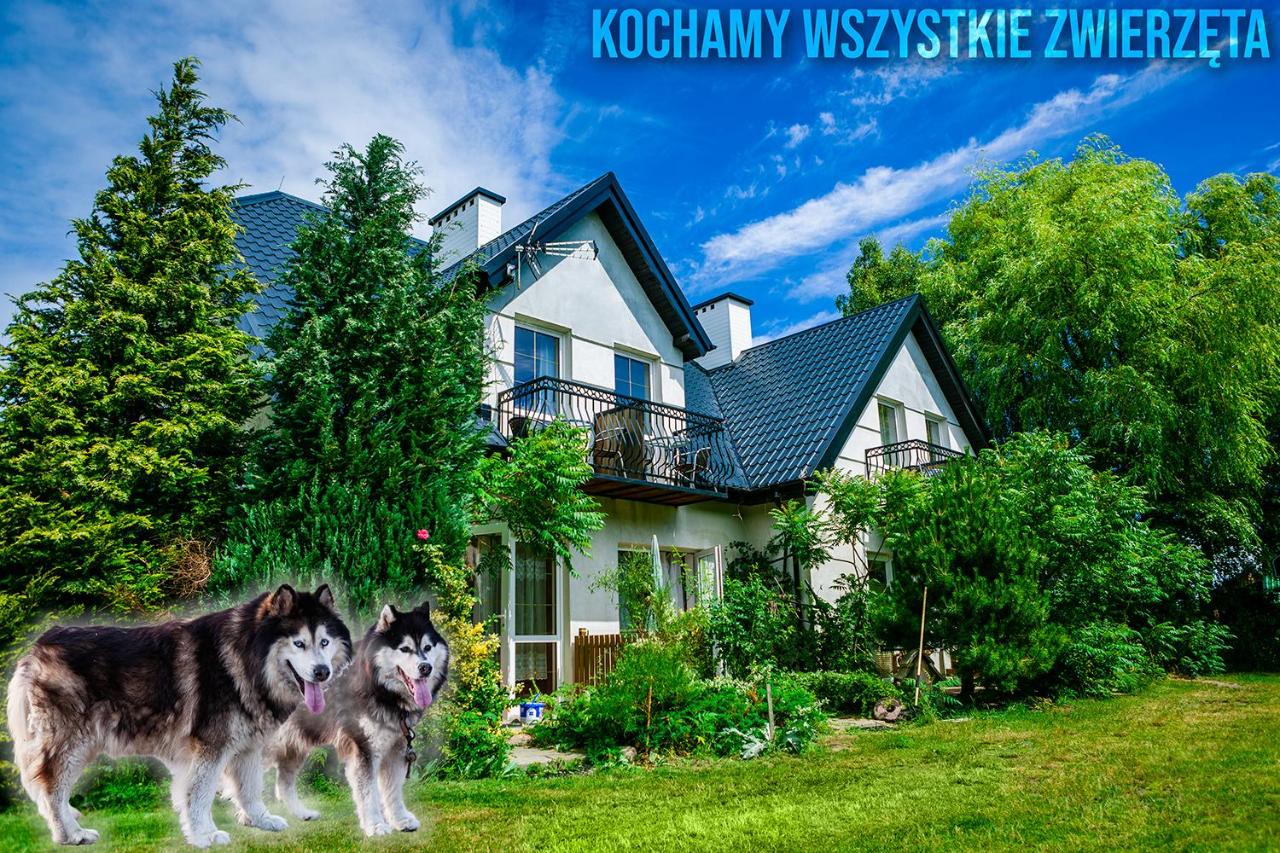 PSZCZÓŁKA - B&B Białogóra