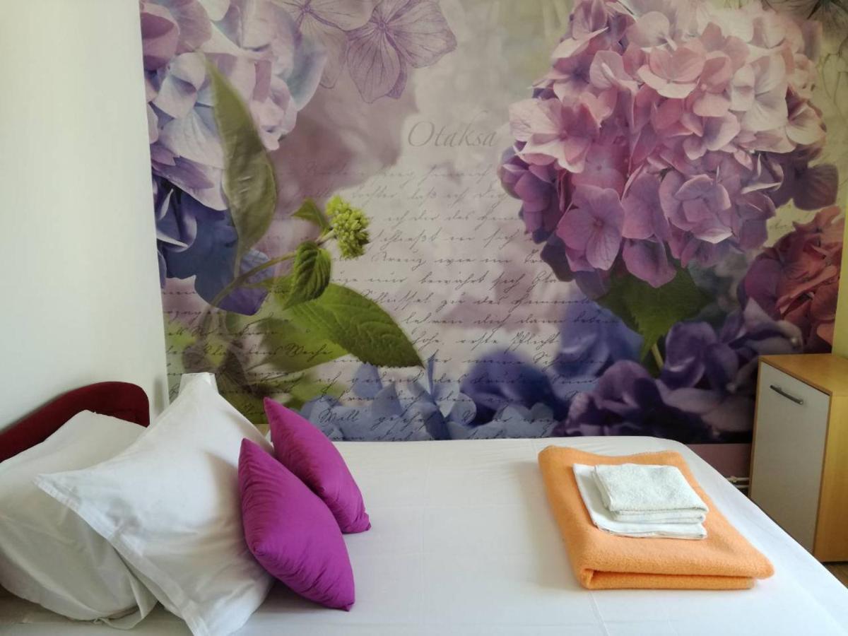 B&B Zadar - Apartment Yelena Rose West - Bed and Breakfast Zadar