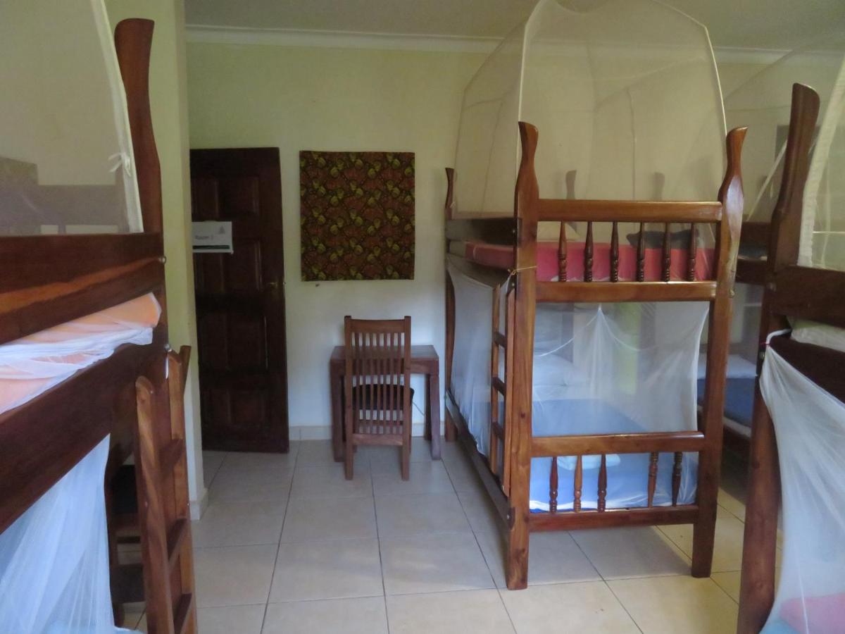 Bunk Bed in Mixed Dormitory Room