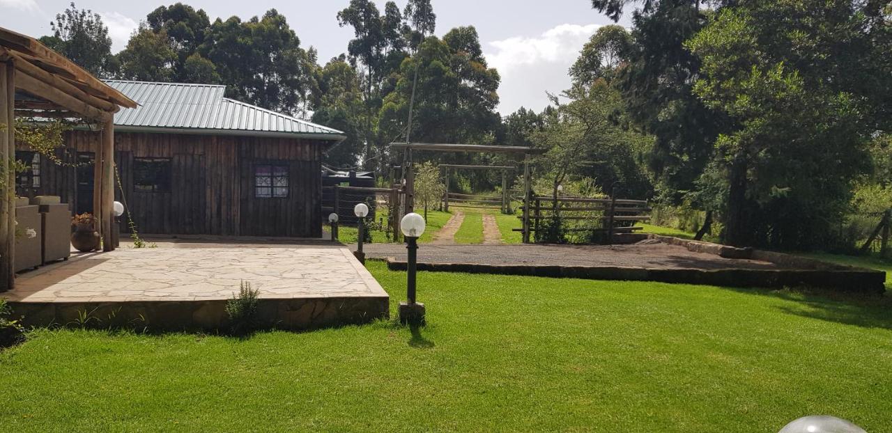 Ngomongo - B&B