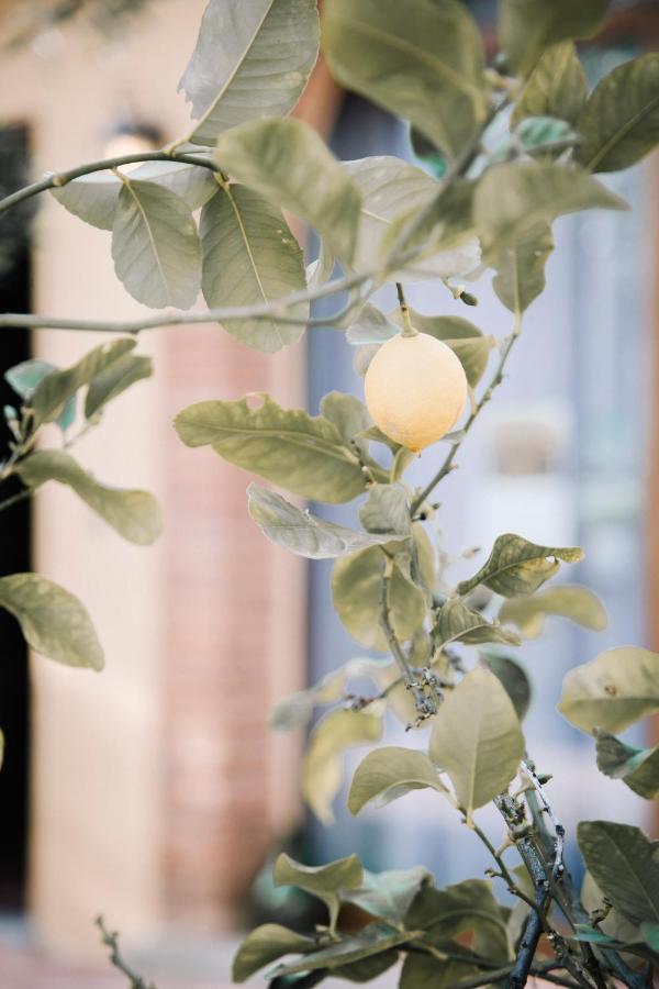 Appartement met uitzicht op de tuin