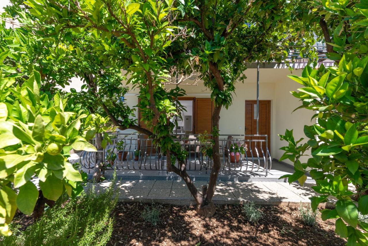 Kiwi - B&B Trogir