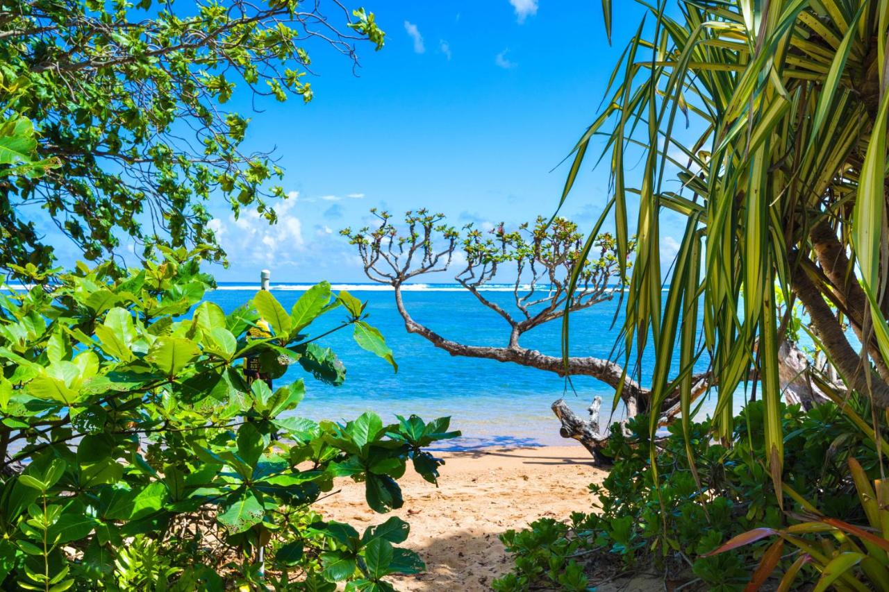 Anini Ohana Hale TVNC#4255 - B&B
