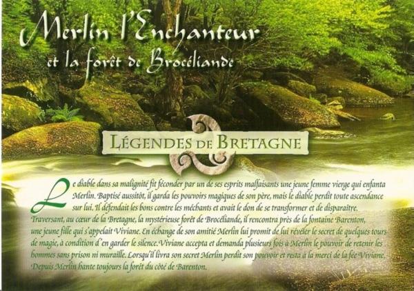le bois du loup en brocéliande - Ferienwohnung Paimpont