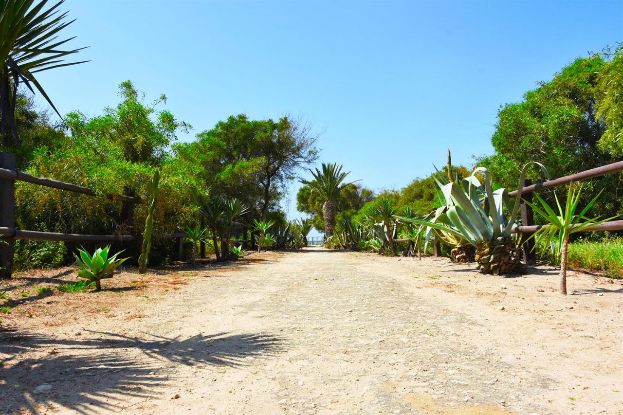 Casara Seis o Casara Siete - Tu casa a 100m de la playa de Zahora - Chambres d'hôtes Zahora