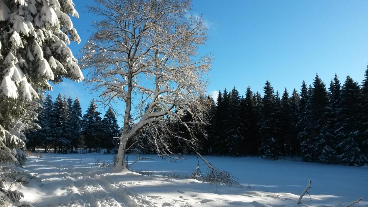 Fewo Waldblick - B&B
