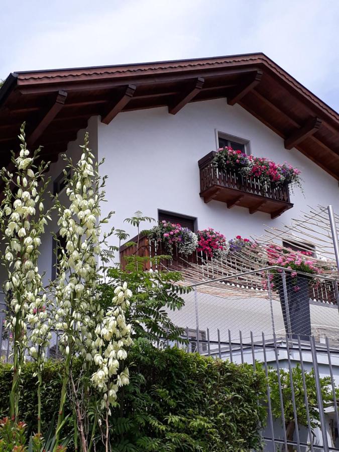 B&B Tione di Trento - SaMeCà - Bed and Breakfast Tione di Trento