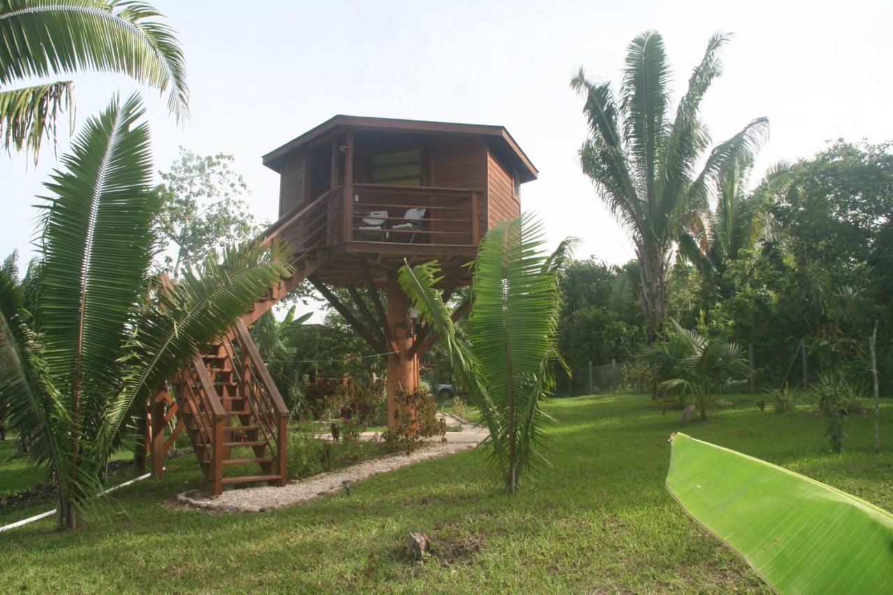 Tree House