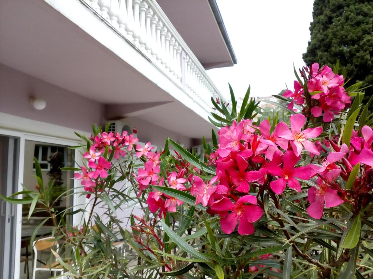 Villa Marija Ulcinj - B&B Dulcigno
