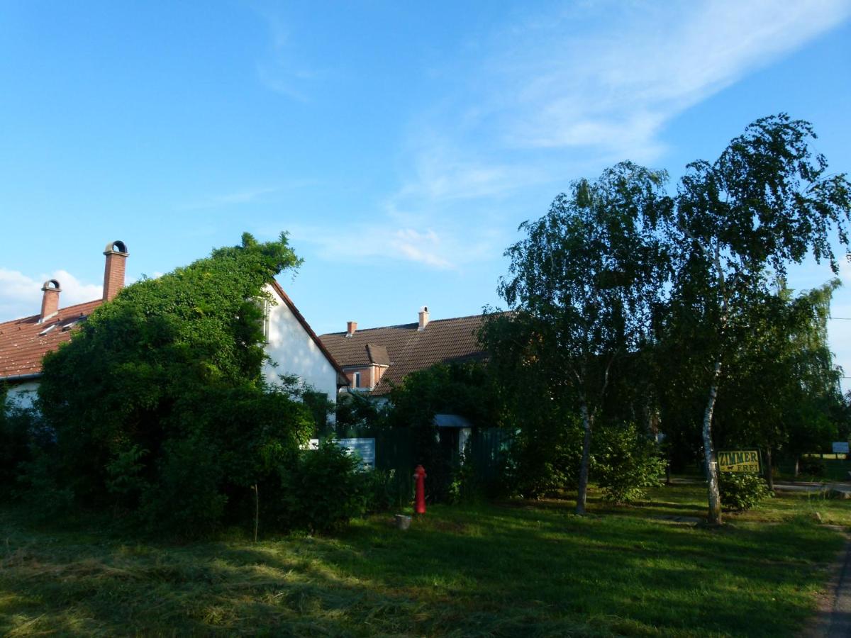 Hajdu Lovasudvar Hortobágy - B&B