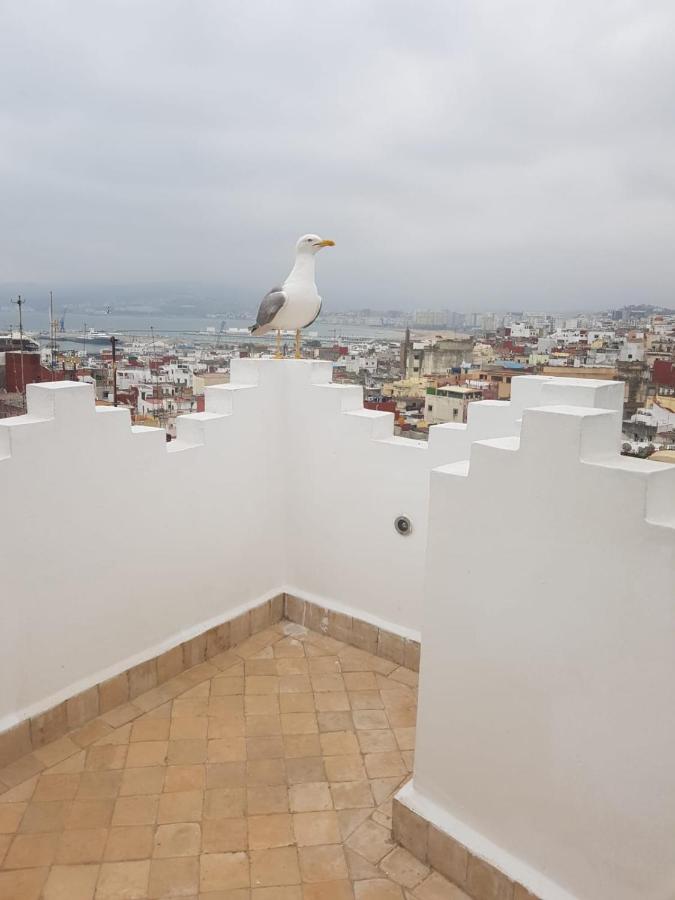 Maison Médina, terrasse panoramique, vue mer - B&B