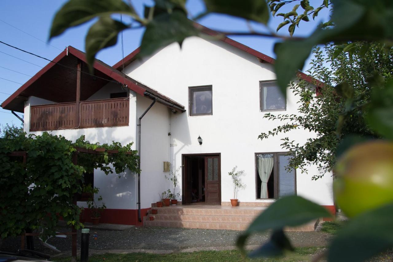 B&B Corbu - Vila toate Panzele Sus - Bed and Breakfast Corbu