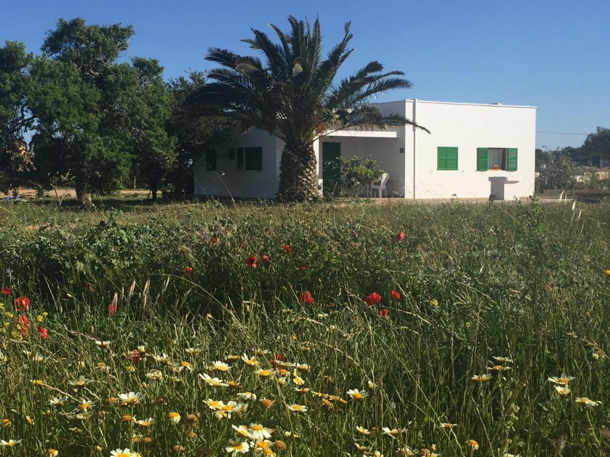 Es Magraner - B&B