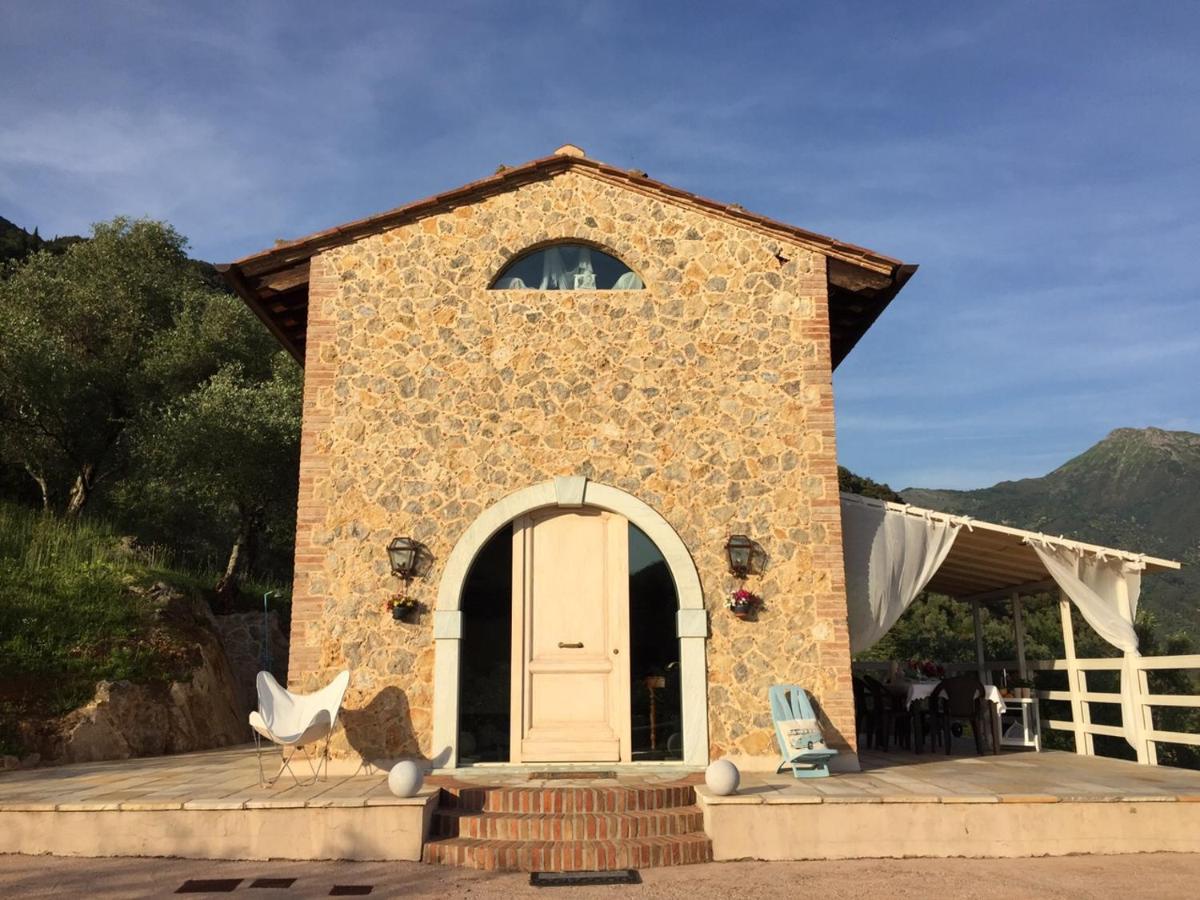 Valuable rustic Tuscan swimming pool, breathtaking view of Camaiore - B&B