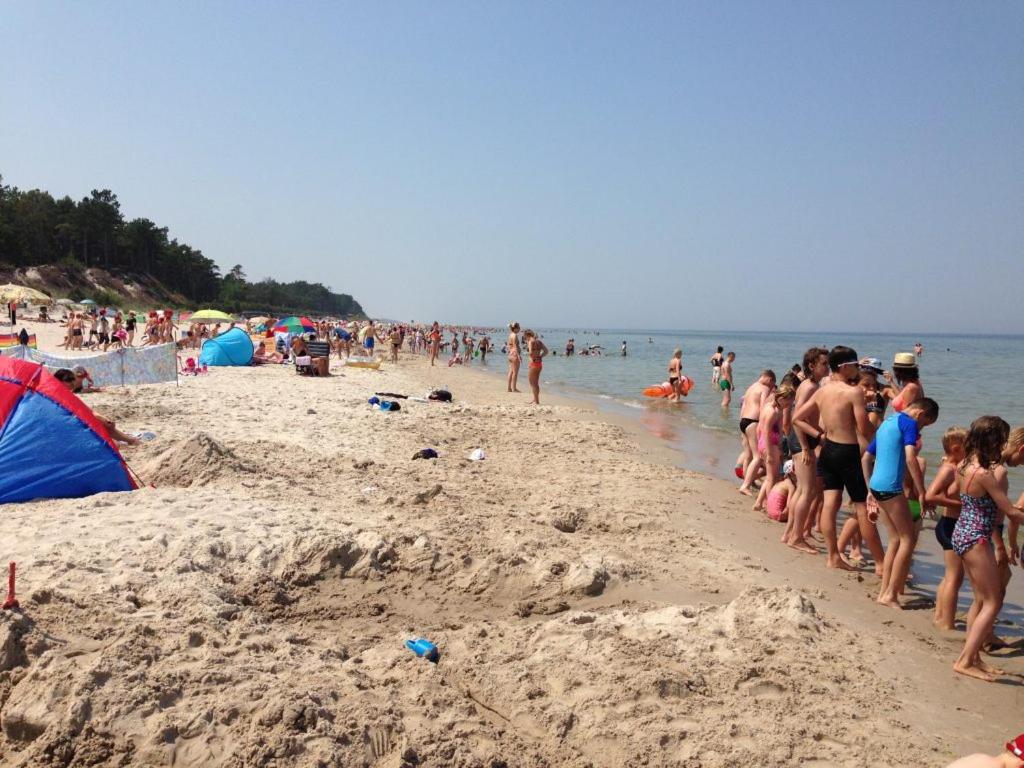 KOMFORTOWY APARTAMENT NORD 61 - B&B