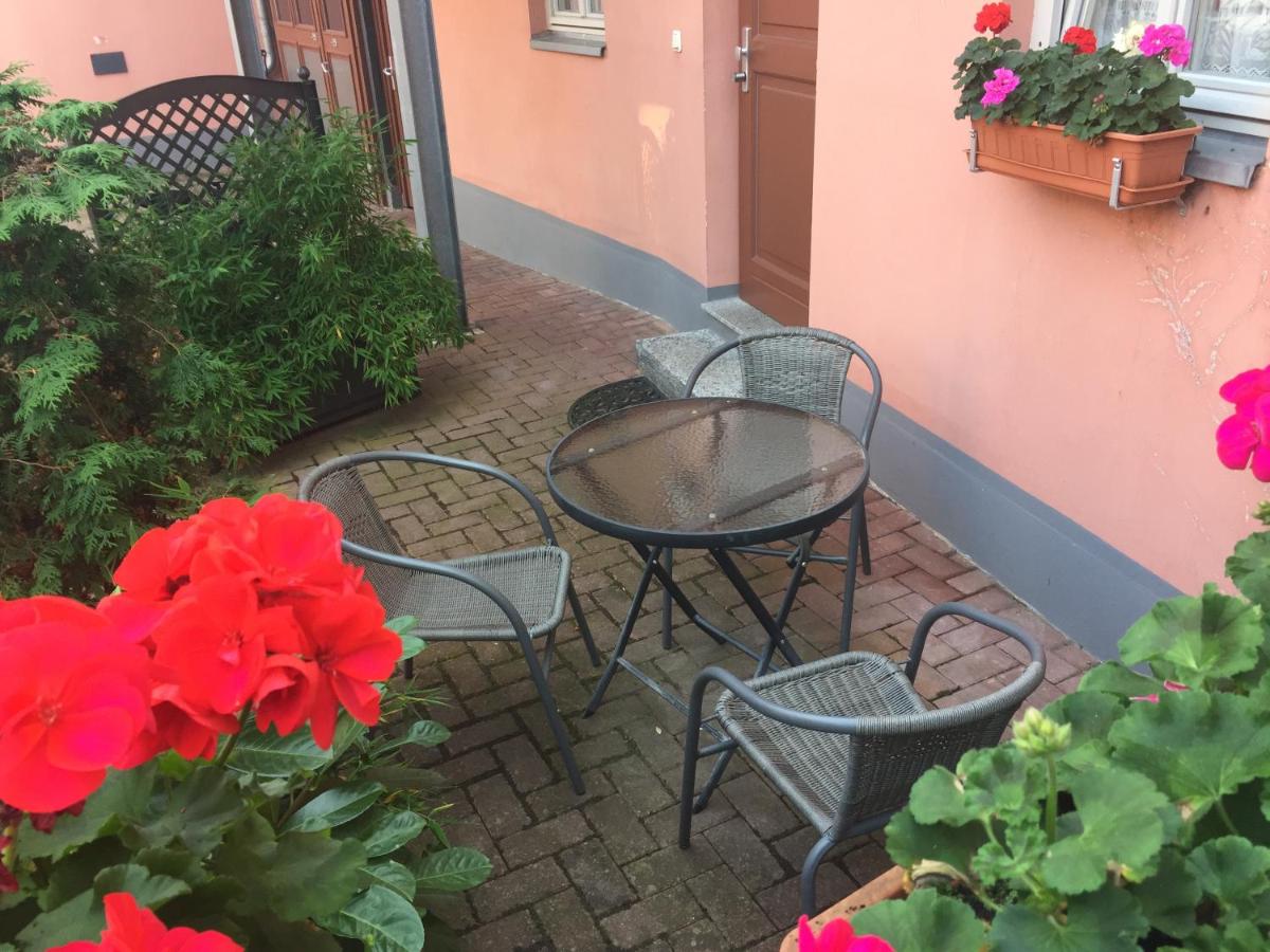 Appartement 1 Chambre avec Terrasse - 3