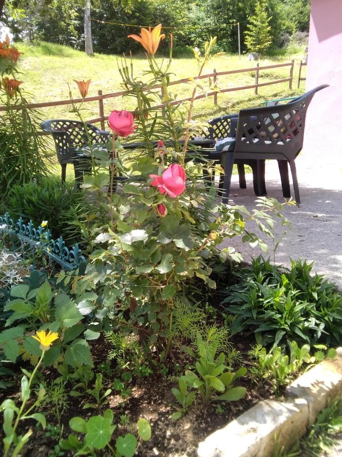 Two-Bedroom Apartment with Balcony