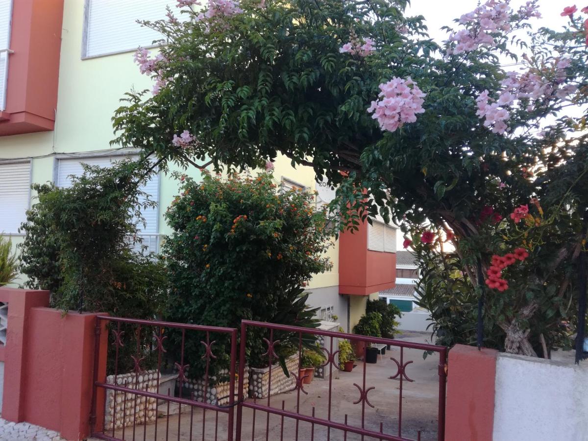 Casa Bouganville - B&B