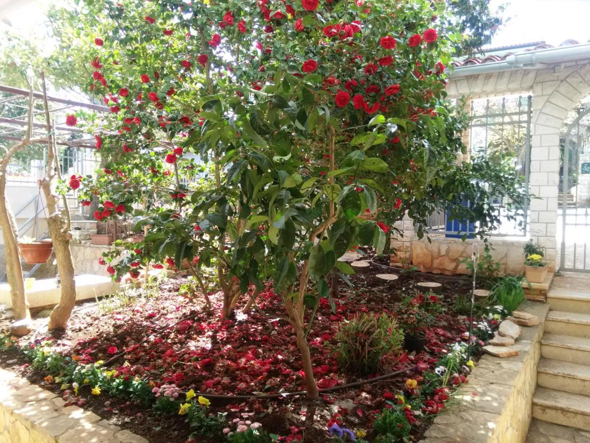 Apartments villa MaVeRo - B&B Banjole