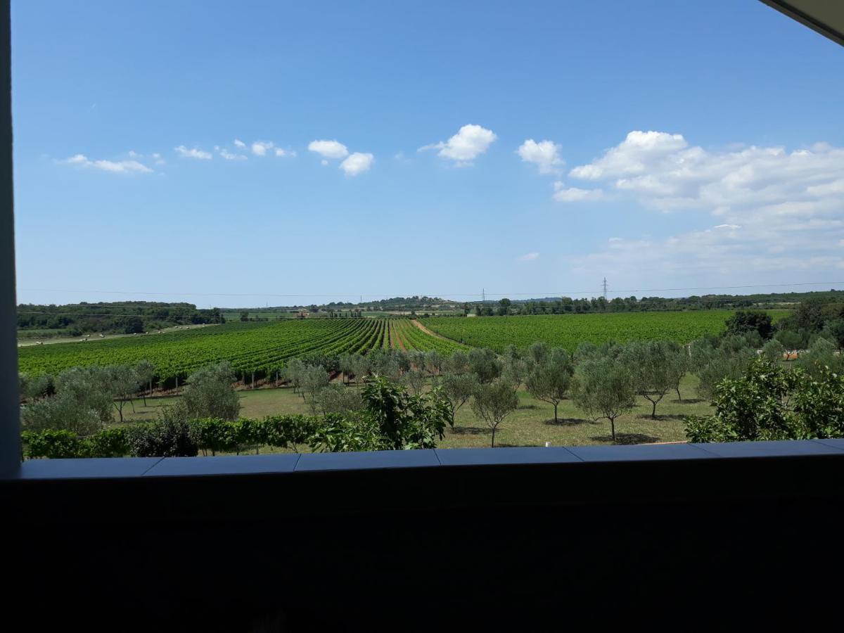 Apartma SolMar - B&B Medulin