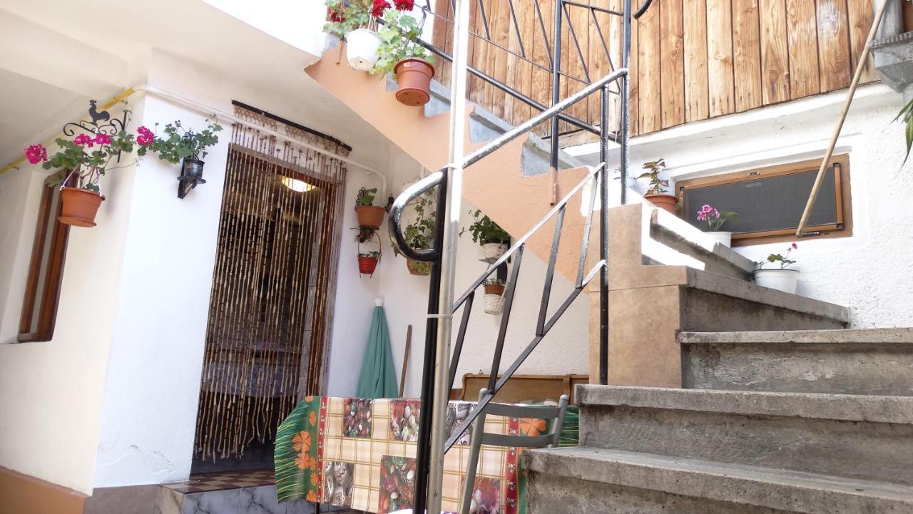 Apartament Adrian Faleza Nord - B&B Costanza