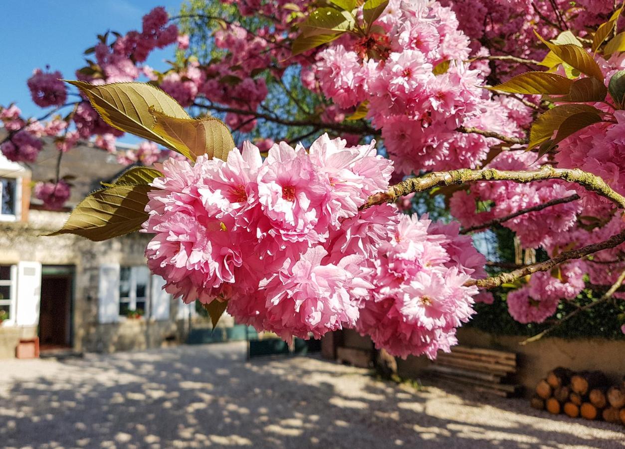 Clos des Ormes - B&B