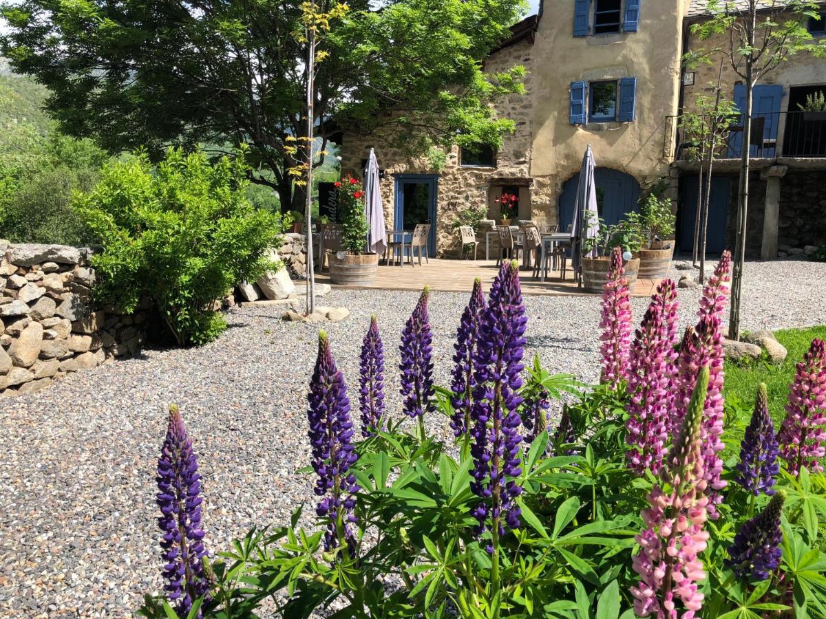 Cal Xandera - B&B Angostrina