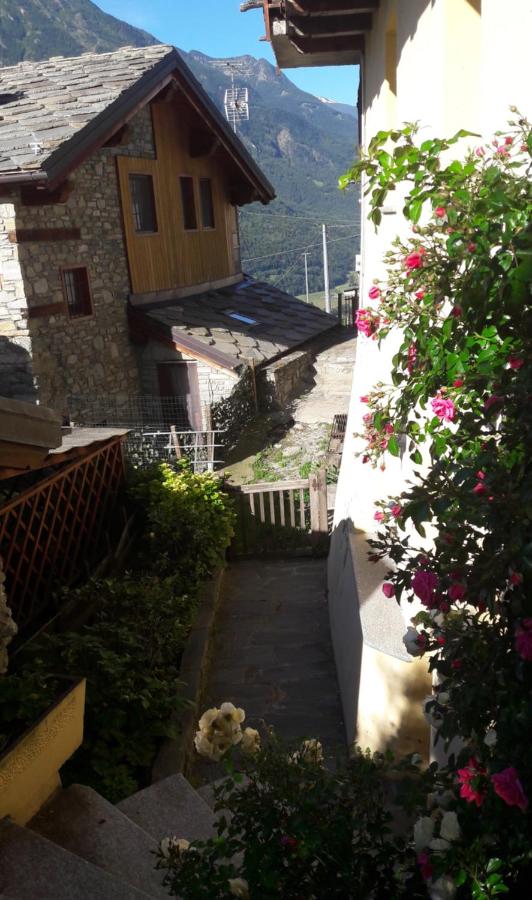 Clou Accomodation - B&B