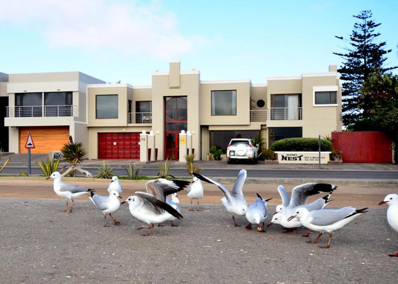 B&B Walvis Bay - Kleines Nest Bed and Breakfast - Bed and Breakfast Walvis Bay