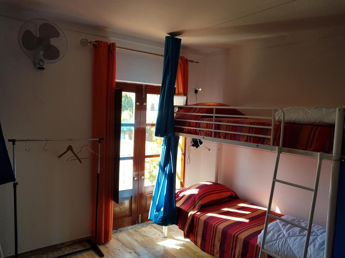 Bunk Bed in Mixed Dormitory Room