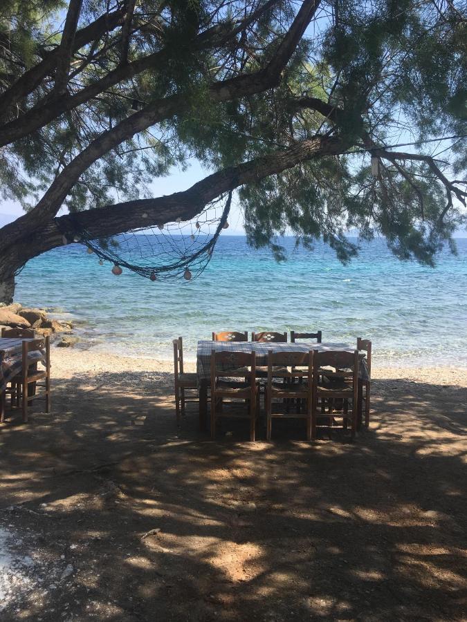 Villa Alkyon - Dreamy 3BR, Pool & BBQ next to Varnavas Beach - B&B