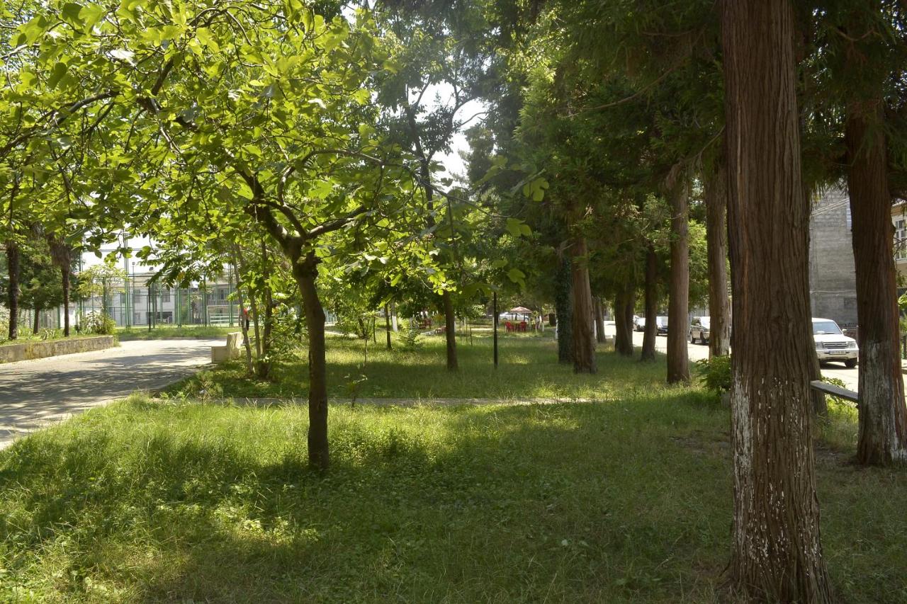 Tamaris-home - B&B Kobuleti