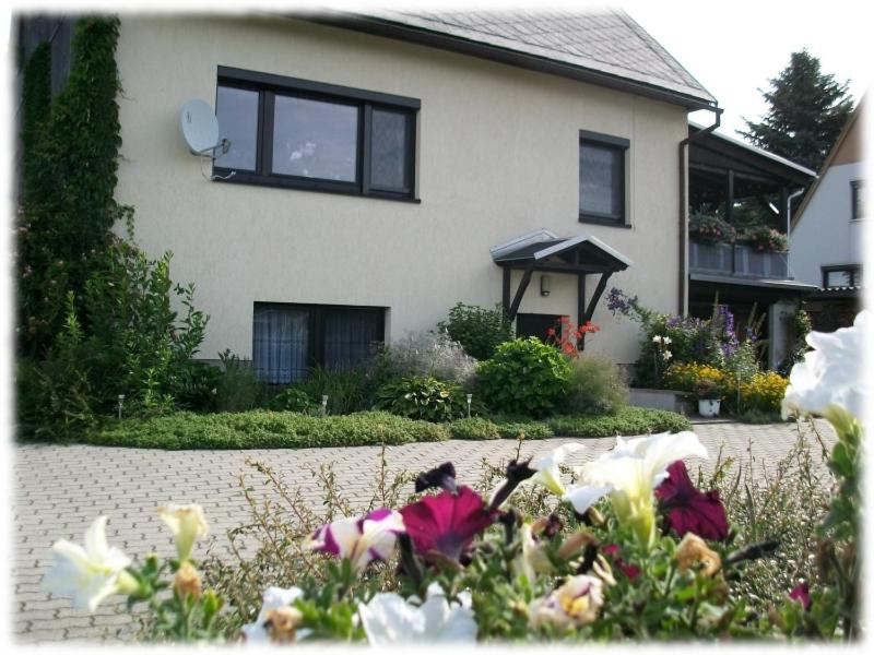 Fewo Hoyer - B&B