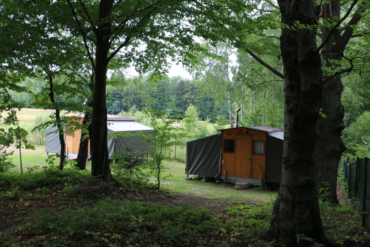 Siedlisko Carownica Family & Wellness - B&B