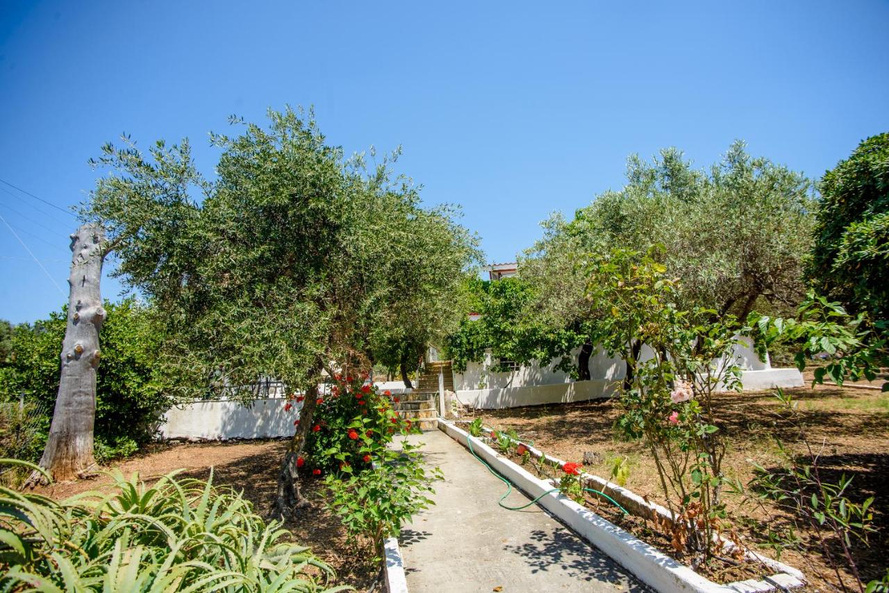 Haus Manya in Lassy - B&B