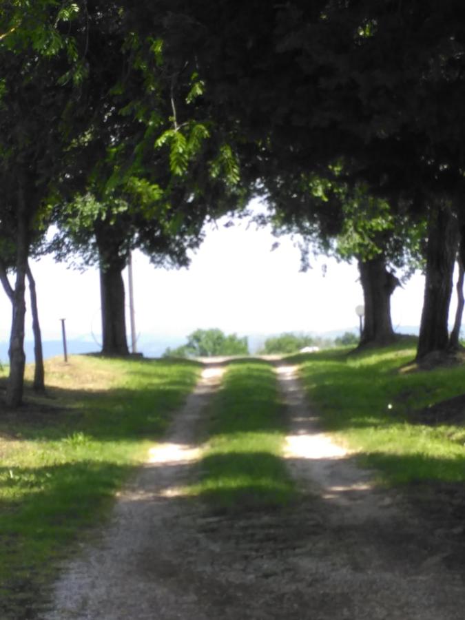 Agriturismo Uliveto Gretacci - B&B