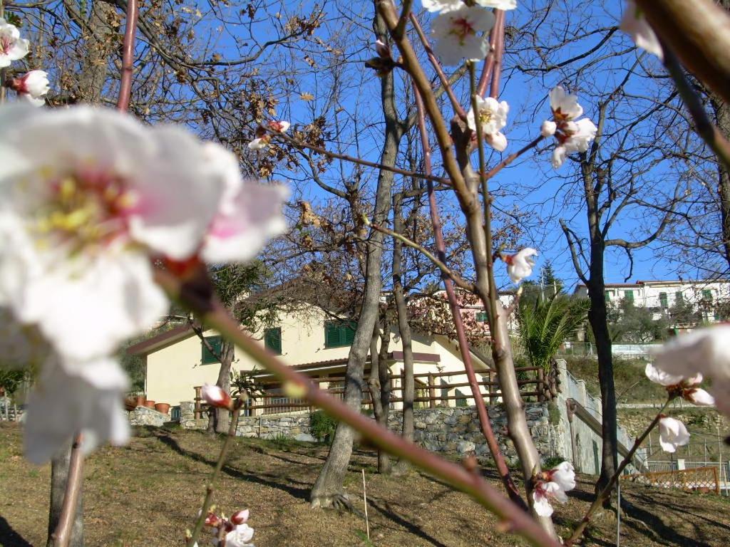 Ariabuona - B&B