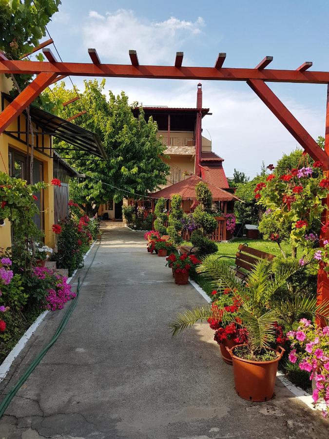 Vila Razvan Costinesti - B&B
