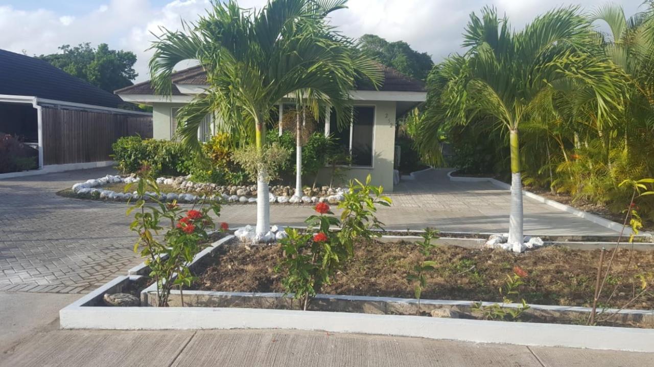 The Palms - B&B