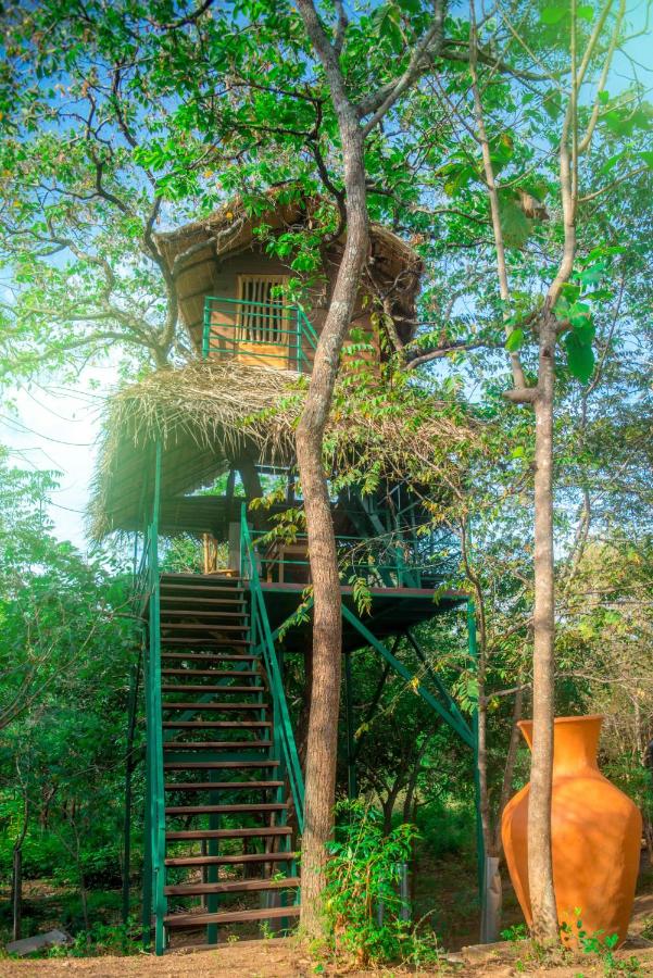 Wildescape Polonnaruwa - B&B