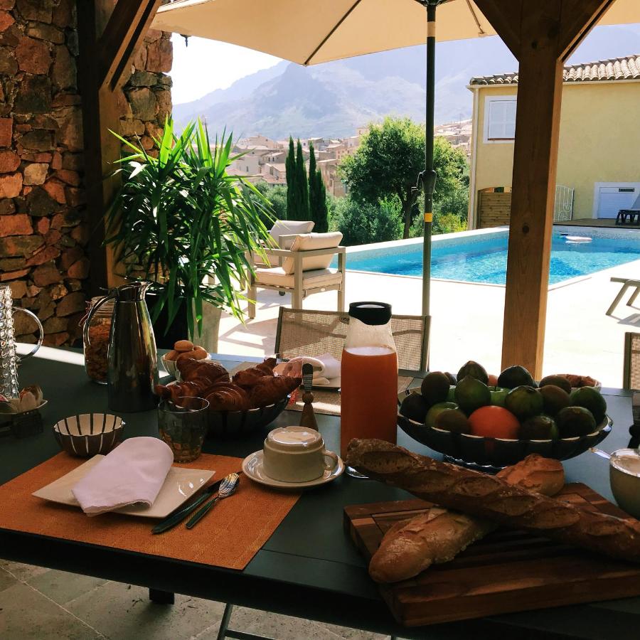 Au pied des oliviers - Ferienwohnung Calenzana